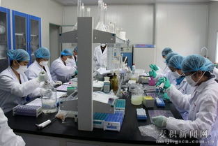天水市舉辦縣級獸醫(yī)實驗室檢測技術(shù)培訓(xùn)班，提升技術(shù)服務(wù)能力